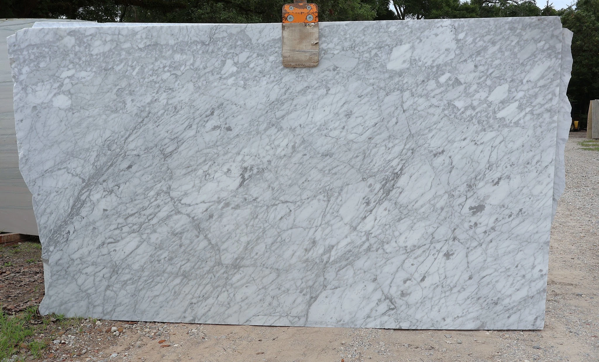 Bianco Carrara Slabs | TradeScout