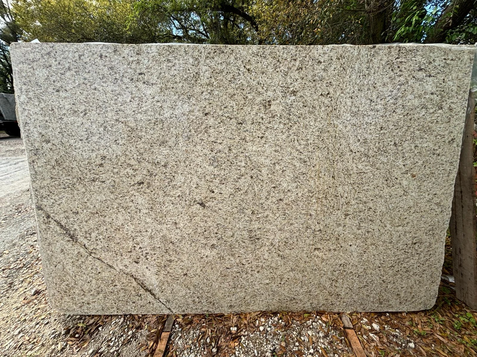 Giallo Ornamental Slabs | TradeScout