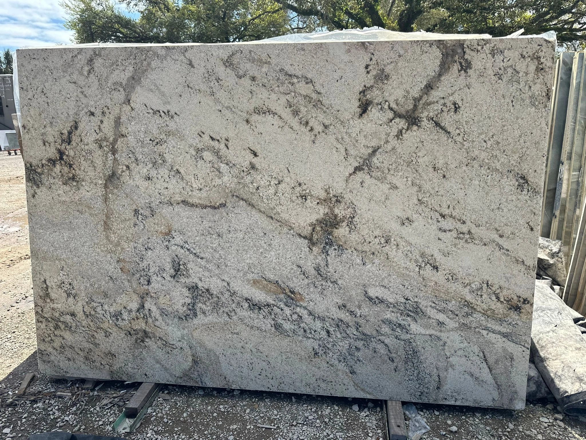 Jaguar Slabs | TradeScout