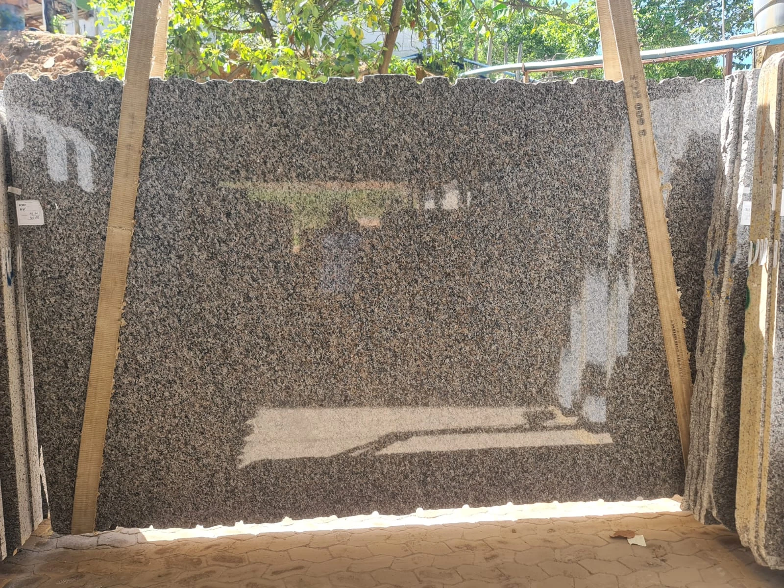 New Caledonia Slabs | TradeScout