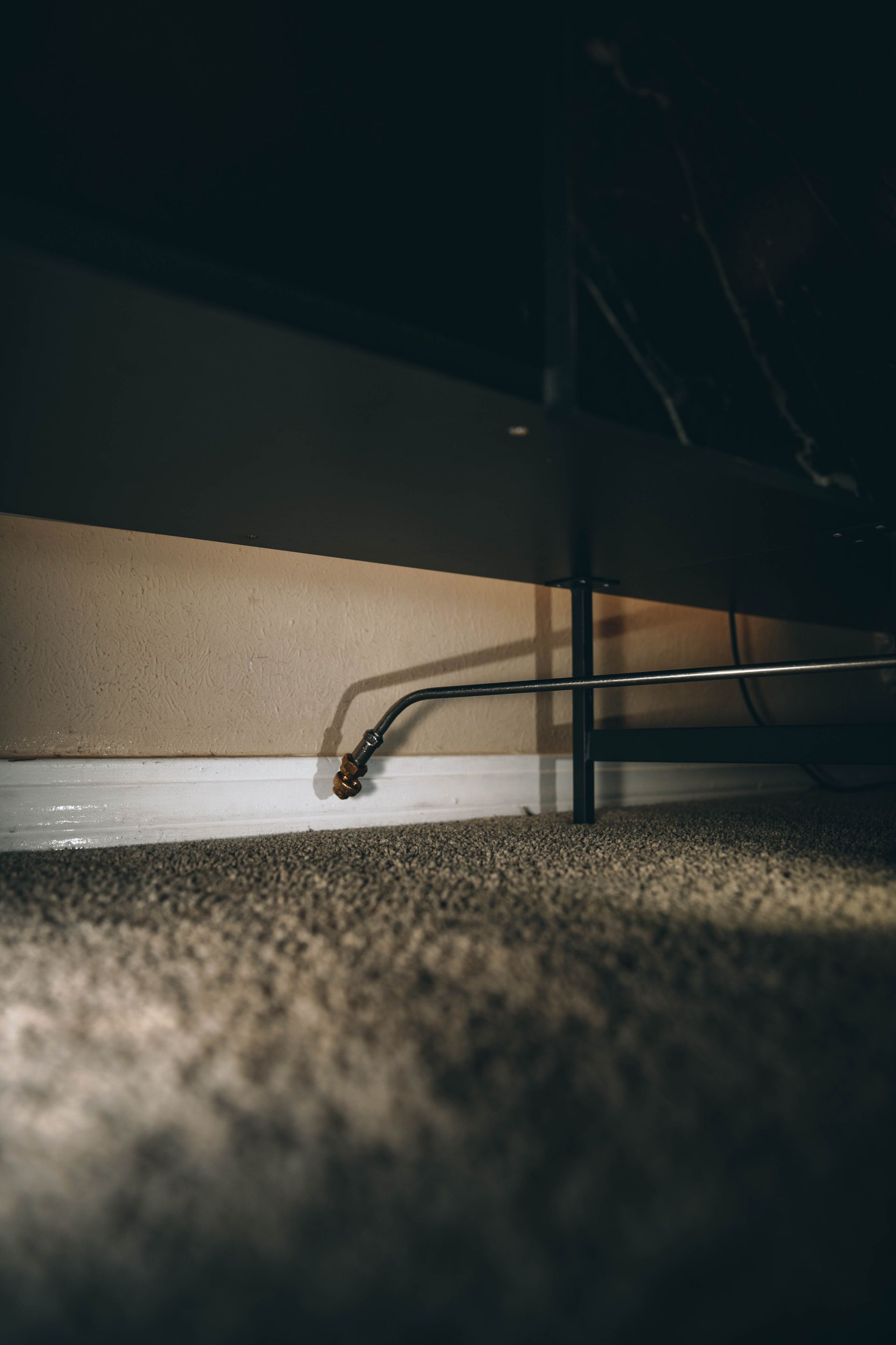Accent Pest Solutions — Bed Bug Treatment
