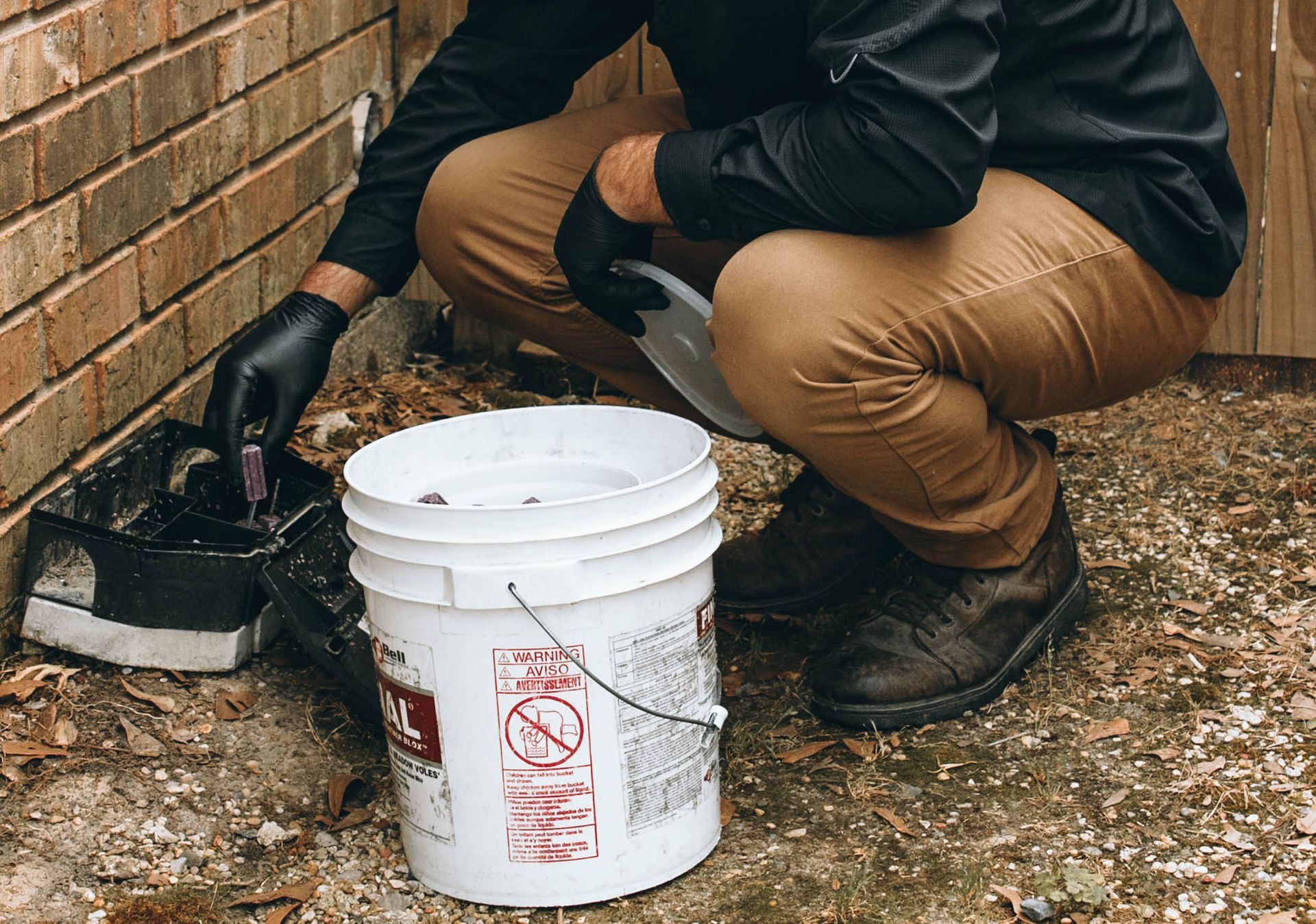 Accent Pest Solutions — Termite Treatment