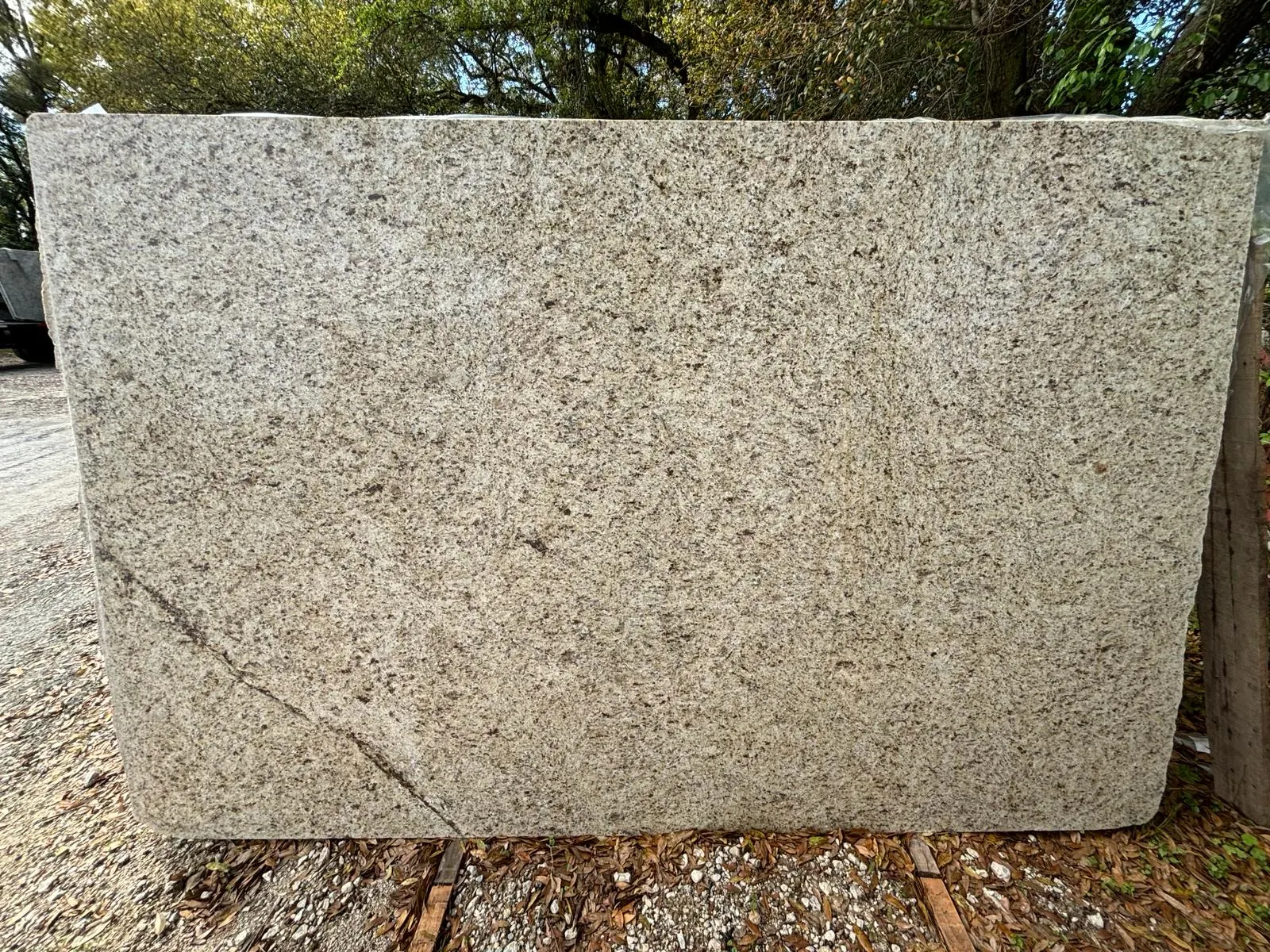 Giallo Ornamental
