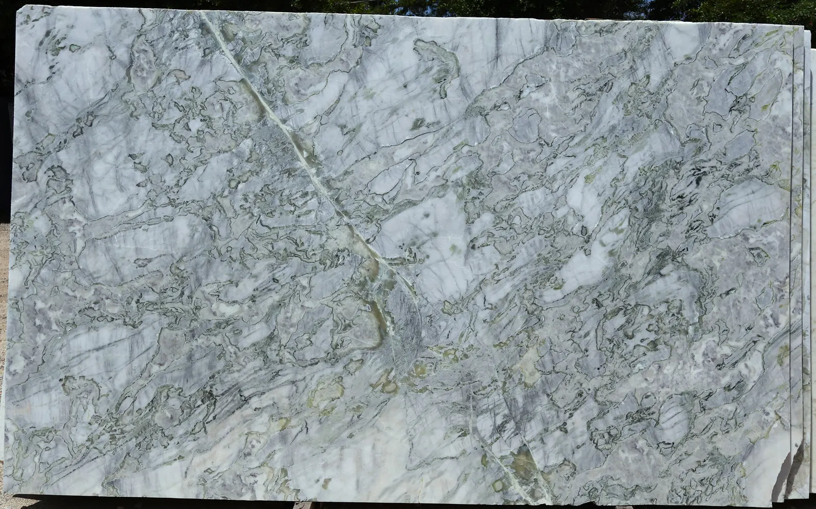 Bianco Palomino